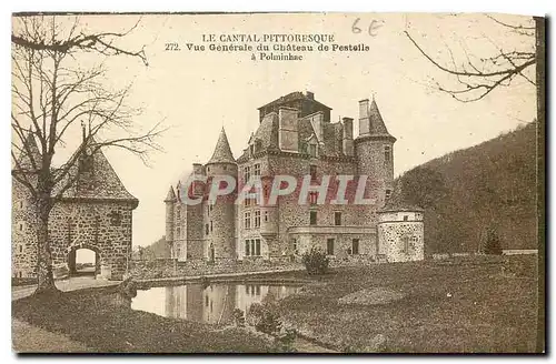Cartes postales Le Cantal Pittoresque Vue generale du Chateau de Pestelle a Polminhac