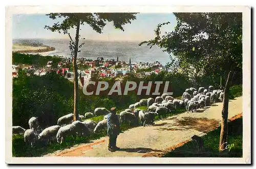 Cartes postales Houlgate La route de Villers et vue sur Houlgate Berger Moutons