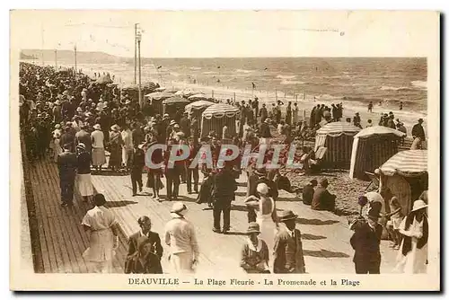 Cartes postales Deauville La Plage Fleurie La Promenade et la Plage