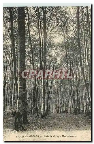 Cartes postales Balleroy Foret de Cerisy Une echappee