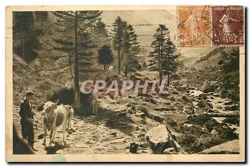 Cartes postales Les Pyrenees Sur la Route Lac d'Estom