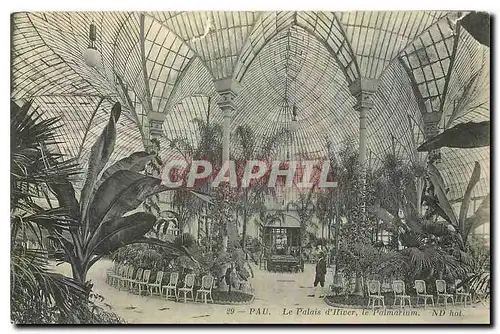 Cartes postales Pau Le Palais d'Hiver le Palmarium