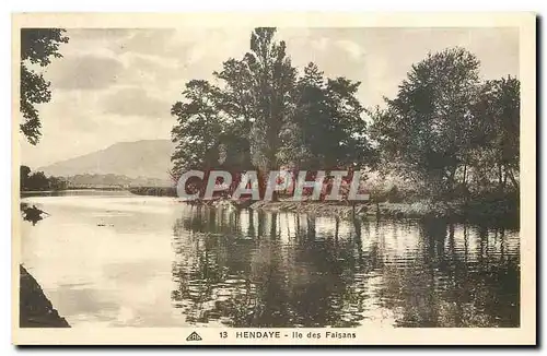 Cartes postales Hendaye Ile des Faisans