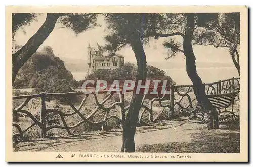 Cartes postales Biarritz Le Chateau Basque vu a travers les Tamaris