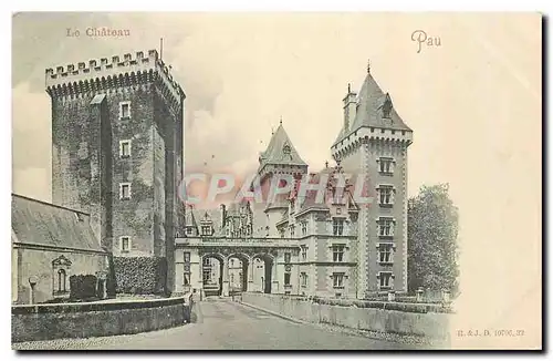 Cartes postales Pau le Chateau