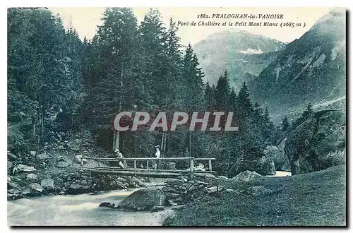 Cartes postales Pralognan la Vanoise le pont de cholliere et le Petit Mont Blanc