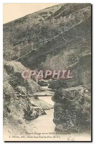 Cartes postales Nive et Gorge ses en Chilo d'Esterencuby