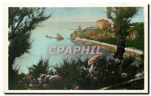 Cartes postales Biarritz la Cote des Basques