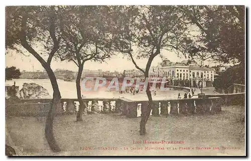 Cartes postales Les Basees Pyrenees Biarritz le Casino Municipal et la Plage a Travers les Tamaris