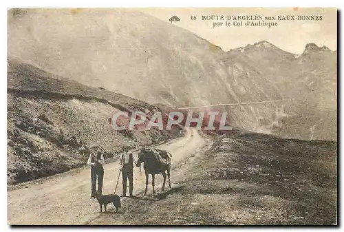 Cartes postales Route d'Argeles aux Eaux Bonnes Par le Col d'Aubisque