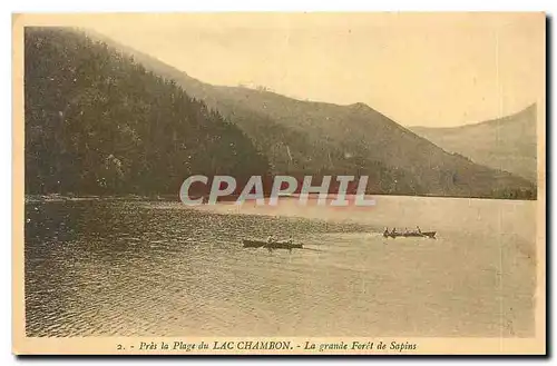 Cartes postales Pres la Plage du Lac Chambon la Grande Foret de Sapins