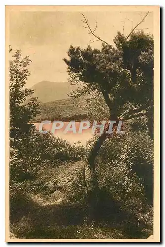 Ansichtskarte AK Environs du Mont Dore Puy de Dome Le Lac Chambon