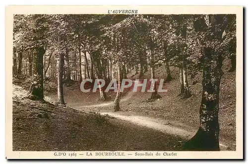 Ansichtskarte AK L'Auvergne La Bourboule Sous Bois du Charlet