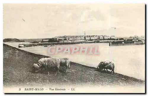 Ansichtskarte AK Saint Malo Vue generale Moutons