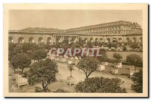 Cartes postales Les Petits Tableaux de Versailles L'Orangerie