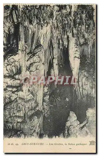 Cartes postales Arcy sur Cure Les Grottes le Salon gothique