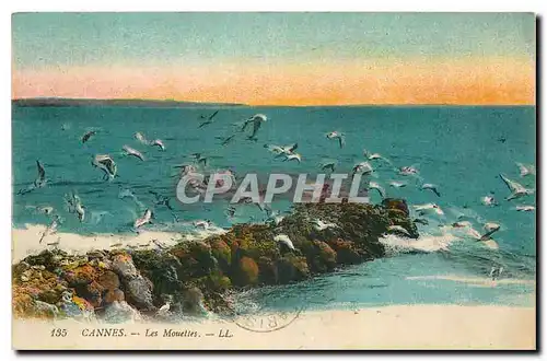 Cartes postales Cannes Les Mouettes