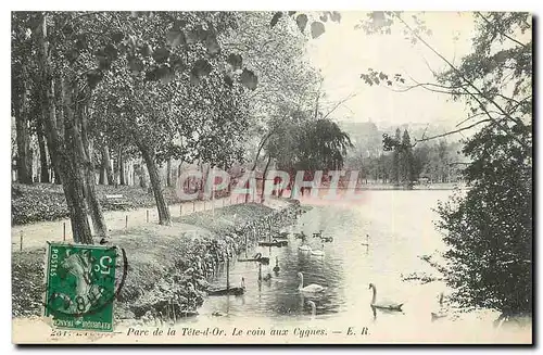 Ansichtskarte AK Lyon Parc de la tete d'Or Le coin aux Cygnes