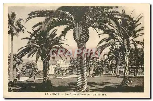 Cartes postales Nice Jardins Albert I Palmiers