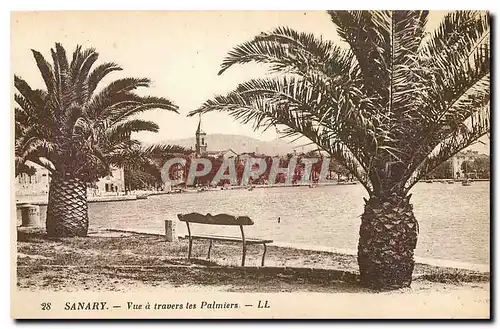 Cartes postales Sanary Vue a travers les Palmiers