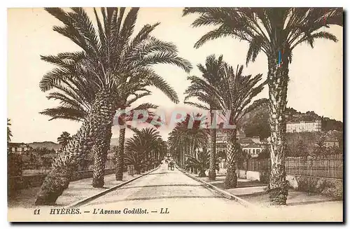 Cartes postales Hyeres l'Avenue Godillot