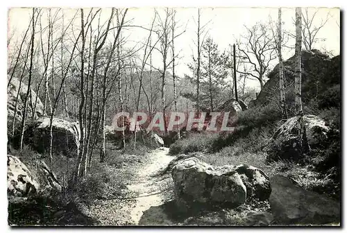 Moderne Karte Milly la Foret S et O Sous bois