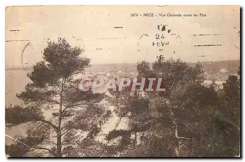 Cartes postales Nice Vue generale entre les Pins