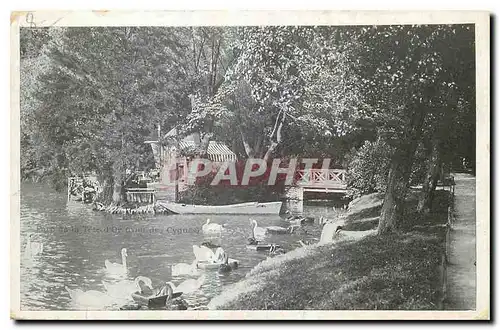 Cartes postales Parc de la Tete d'Or Coin des Cygnes Lyon