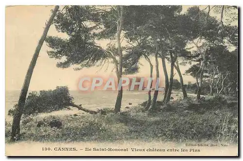 Cartes postales Cannes Ile Saint Honorat Vieux chateau entre les Pins