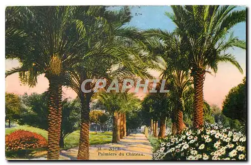 Cartes postales Nice Palmiers du Chateau