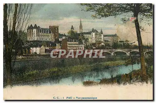 Cartes postales Pau Vue panoramique