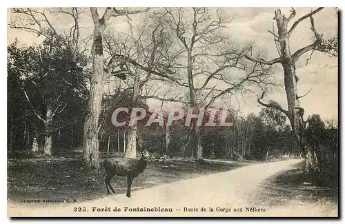 Ansichtskarte AK Foret de Fontainebleau Route de la Gorge aux Nefliers