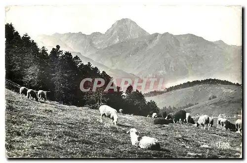 Cartes postales Vallee d'Aure Col d'Aspin Vue sur le Pic du Midi de Bigorre