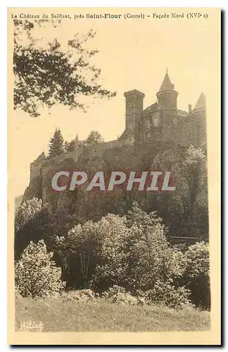 Cartes postales Le Chateau du Saillant pres Saint Flour Cantal Facade Nord