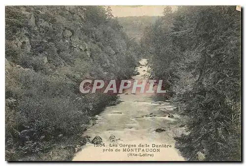 Ansichtskarte AK Les Gorges de la Duniere pres de Montfaucon Hte Loire