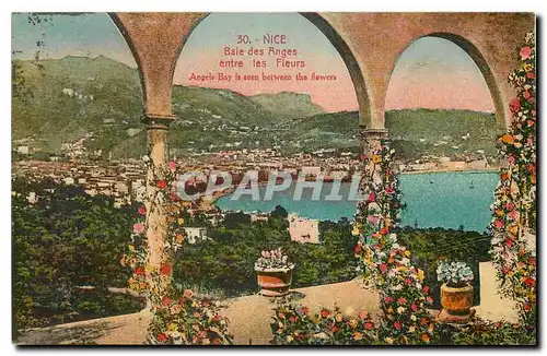 Cartes postales Nice Baie des Anges entre les Fleurs