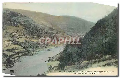 Cartes postales Environs de Saint Etienne Les Gorges de la Loire au dessous de Chambles