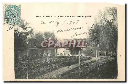 Ansichtskarte AK Montelimar Piece d'eau du Jardin public