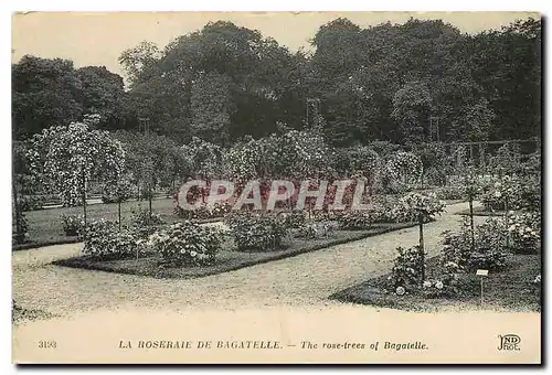 Cartes postales La Roseraie de Bagatelle