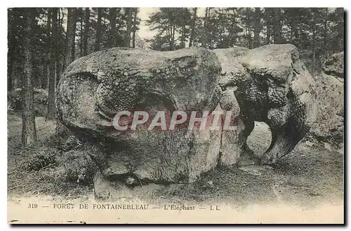 Cartes postales Foret de Fontainebleau L'Elephant