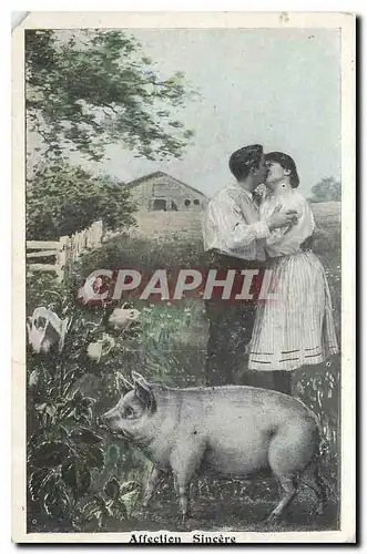 Ansichtskarte AK Affection Sincere  Femme Cochon Porc