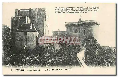 Cartes postales Loches le Donjon La Tour Louis XI