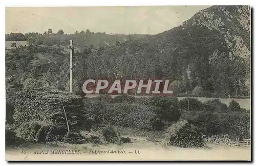 Cartes postales Alpes Mancelles St Leonard des Bois