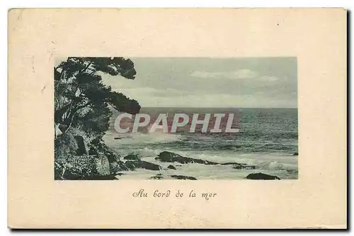 Cartes postales Au bord de la mer