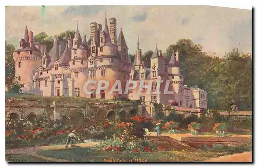 Cartes postales Chateau d'Usse