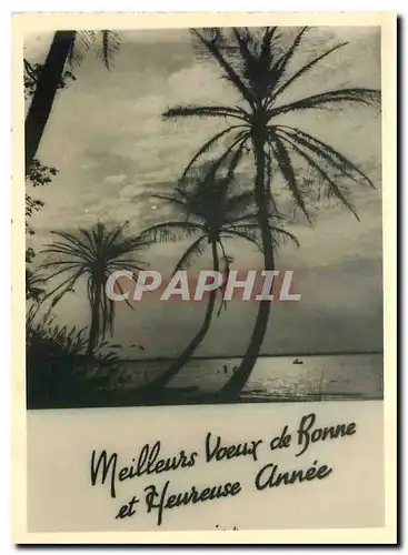 Cartes postales moderne Bonne annee palmier
