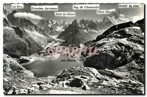 Ansichtskarte AK Le Lac Blanc dans son decor en Face Mer de Glace et Massifs des Grandes Jorasses des Aiguilles d