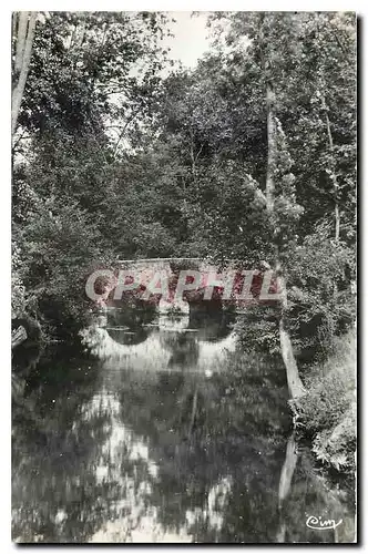 Cartes postales moderne Brunoy S et O Bords de l'Yerres au Pont de Soulins