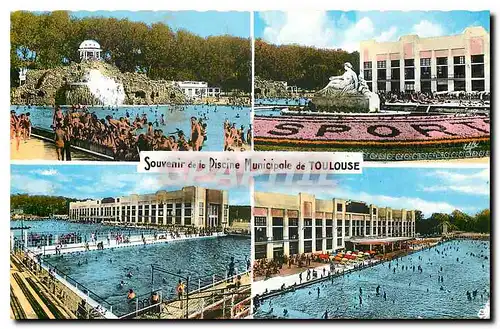 Cartes postales moderne Toulouse La Ville Rose Piscine Municipale Terrasse et Grand Bassin