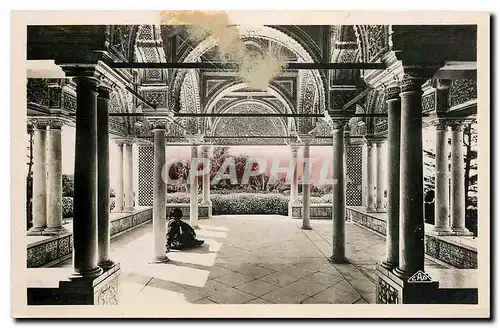 Cartes postales Tunis Le Belvedere La Kouba